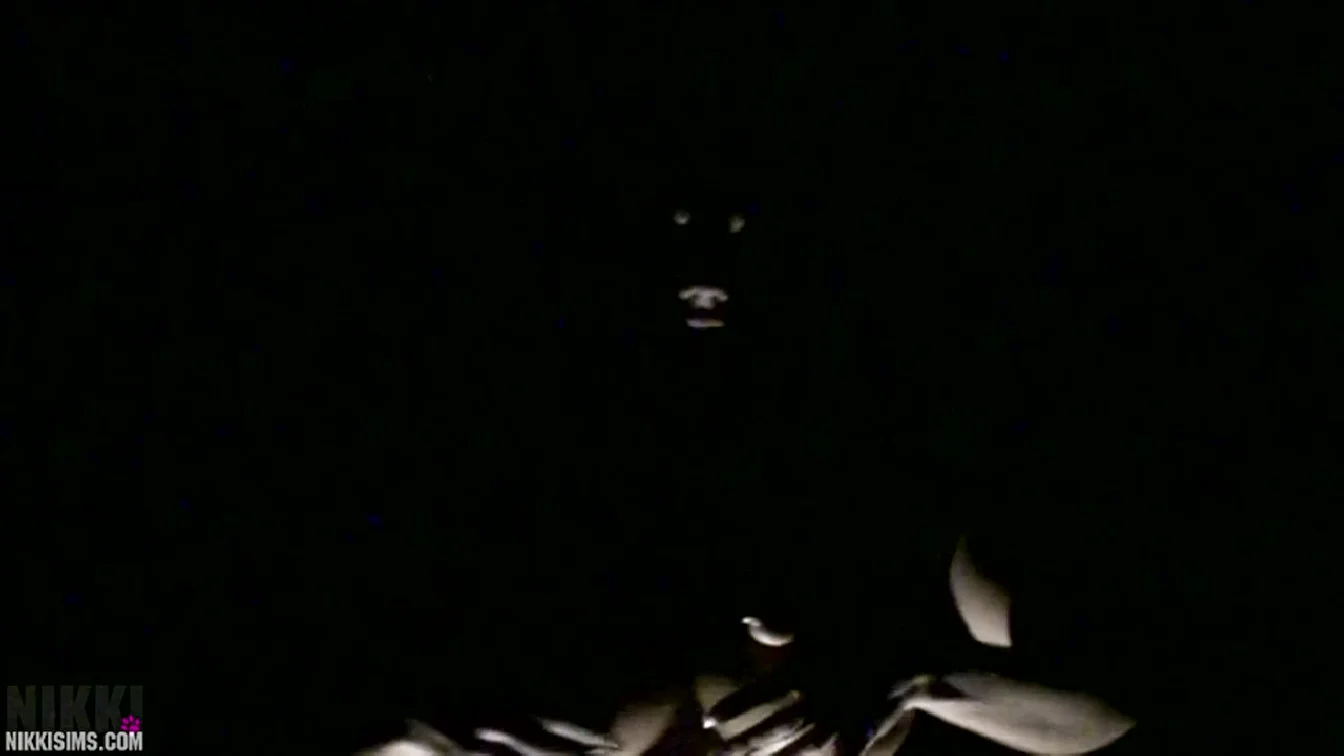 NikkiSims Before Power Outage XXX